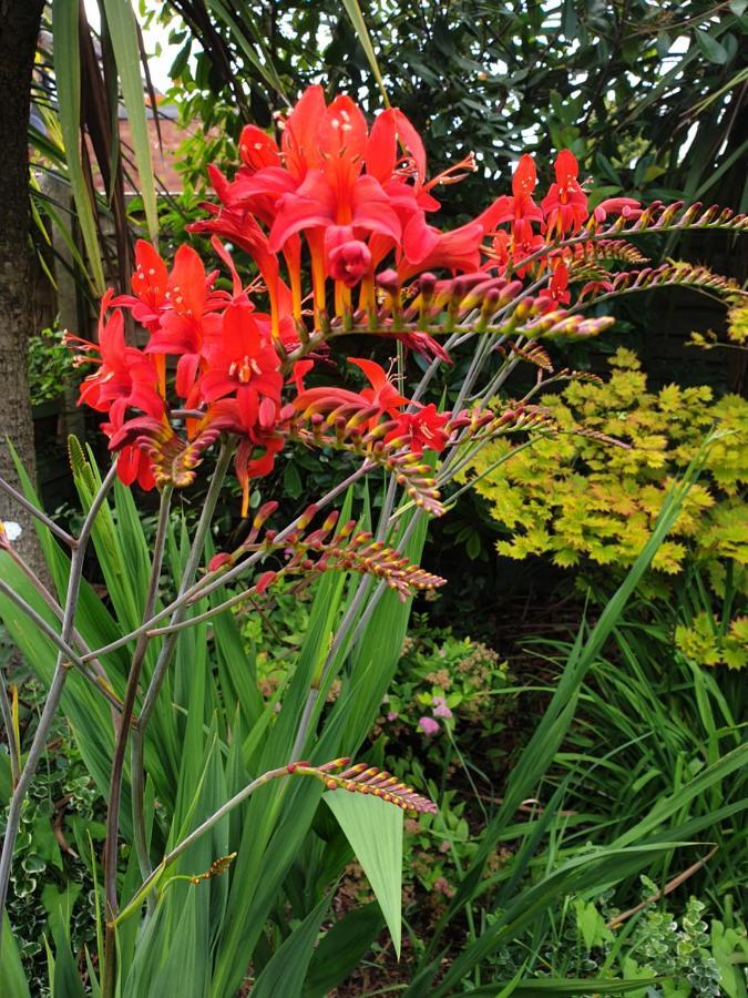 Tropical Garden Oasis Rooms เบอร์มิงแฮม ภายนอก รูปภาพ