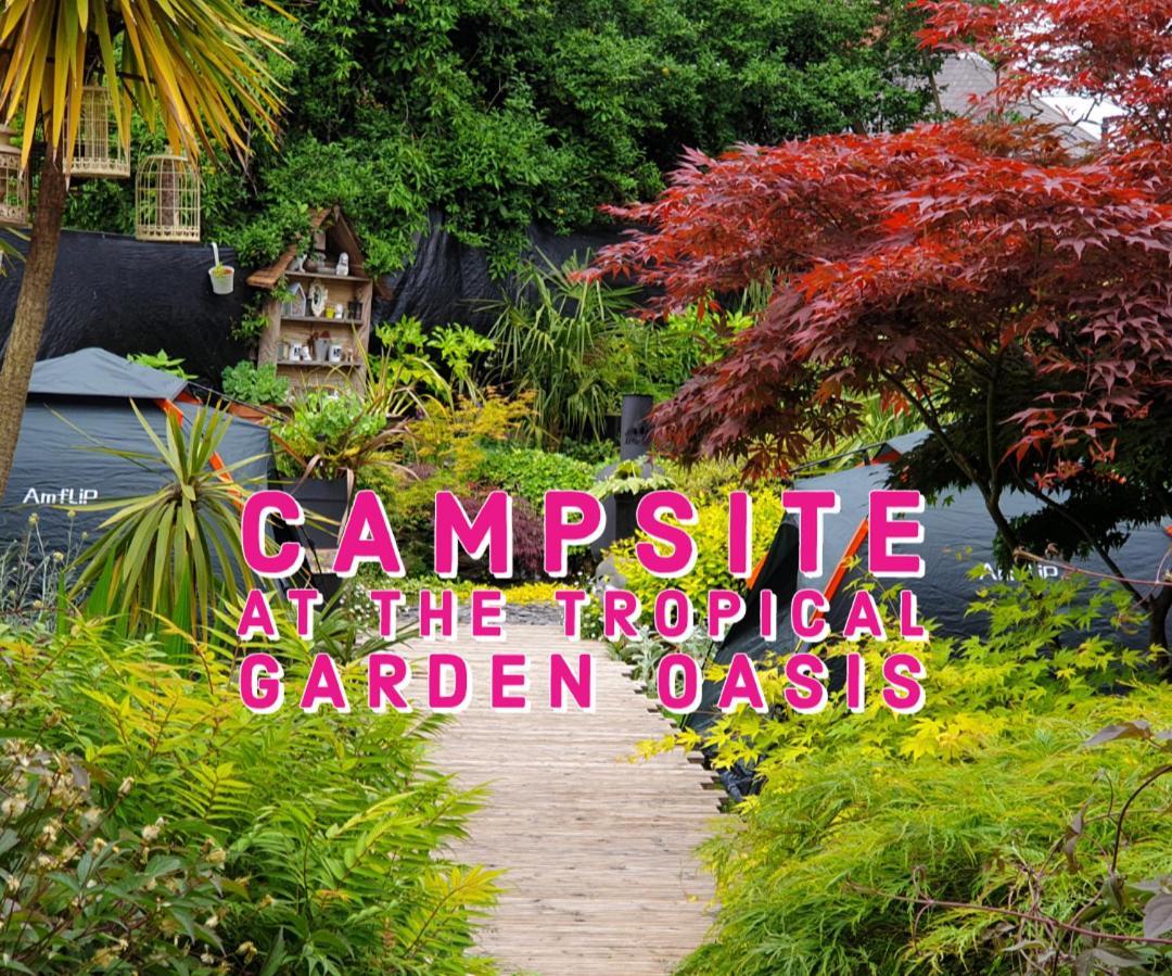 Tropical Garden Oasis Rooms เบอร์มิงแฮม ห้อง รูปภาพ